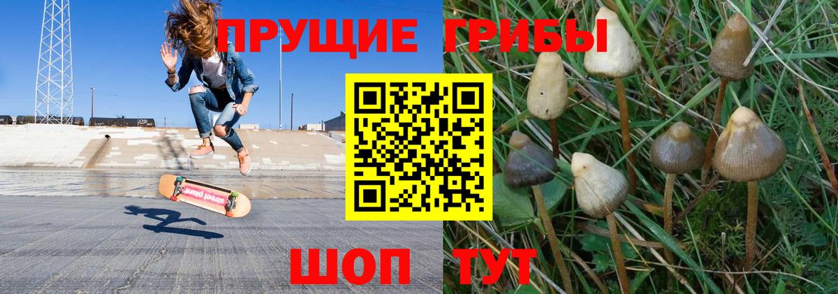 Псилоцибиновые грибы Psilocybine cubensis Гусь-Хрустальный
