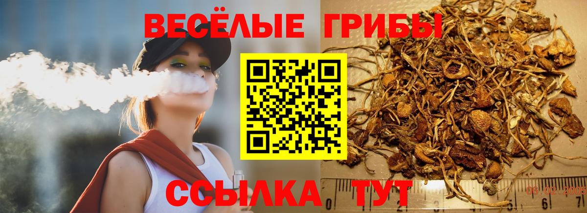 Гусь-Хрустальный  Псилоцибиновые грибы GOLDEN TEACHER  Вход с VPN 